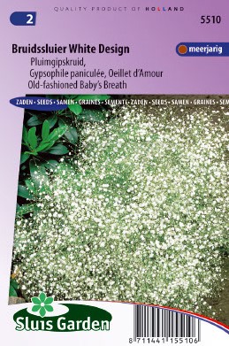 Schleierkraut Bristol Fairy - Gypsophila