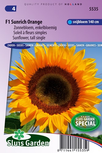 Sonnenblume F1 Sunrich Orangs