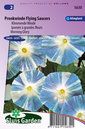 Kletternde Winde Flying Saucer - Ipomoea