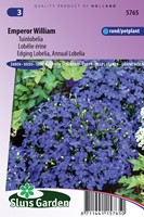 Lobelie Emperor William