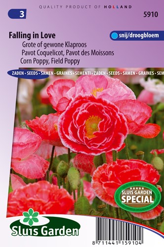Mohn Falling in Love