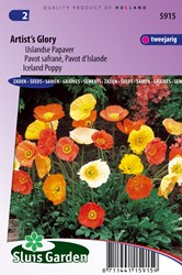 Mohn Isländische, Artist's Glory