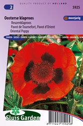 Mohn rot