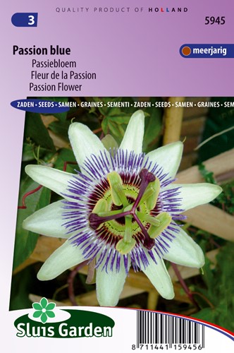 Passionsblume Passion Blue - Passiflora