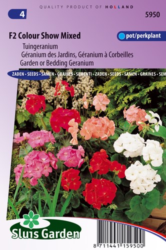Gartengeranien F2 Colouer Show mix