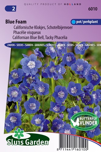 Traumbienenfutter Blue Foam