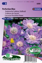 Tauben-SkaÖkologische Samense Perfection Blue