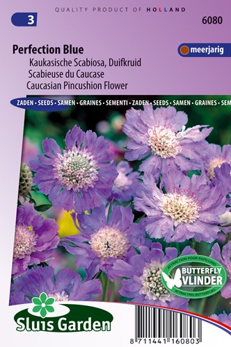Tauben-SkaÖkologische Samense Perfection Blue
