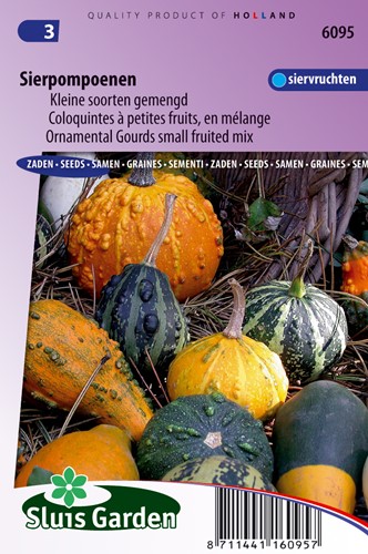 Zierkürbis kleine Früchte gemischt - Cucurbita pepo