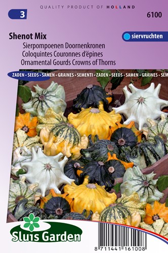 Zierkürbis Shenot Crown of Thorns - Cucurbita pepo