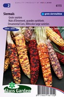 Ziermais große Früchte gemischt