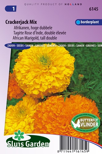 Samtblume hoch Crackerjack Mix - Tagete