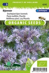Bienentrachtpflanze Lacy Phacelia EKO