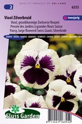 Stiefmütterchen Schweizer Riesen Silberbraut