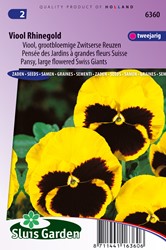 Stiefmütterchen Schweizer Riesen Rhinegold