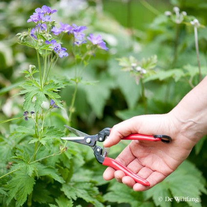 Präzisions-Gartenschere, gerades Modell