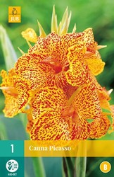 Canna Pflanzen kaufen? Online Top Qualität pflanzen und Gartenartikelen