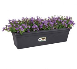 Green Basics Balkonkasten 40cm Elho