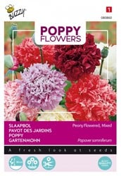 Gartenmohn Paeonienblütige, Mischung - Poppy Flowers