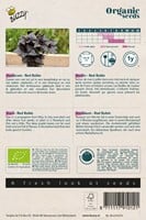 Bio Basilikum Red Rubin - Ocimum Basilicum-2