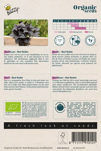 Bio Basilicum Red Rubin - Ocimum Basilicum-2