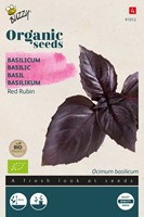 Bio Basilicum Red Rubin - Ocimum Basilicum