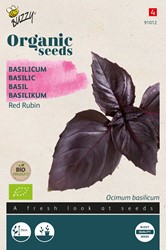Bio Basilikum Red Rubin - Ocimum Basilicum