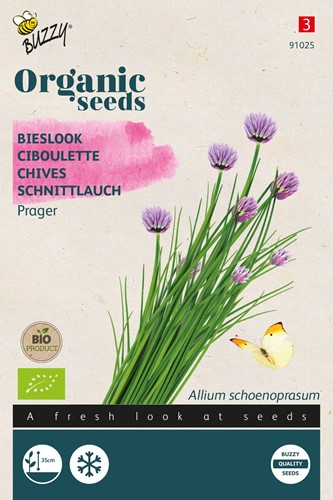 Ökologische Samen Schnittlauch