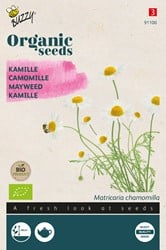 Bio Kamille - Matricaria Chamomilla