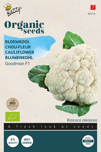 Blumenkohl Goodman F1 Bio