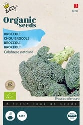 Bio Spargelkohl Gruene Calabrese