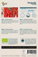 Bio Spanische Pfeffer Cayenna-2