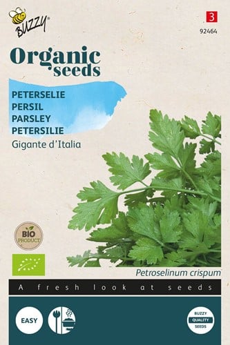 Ökologische Samen Petersilie Gig. d'Italia