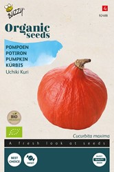 Ökologische Samen Kürbis Uchiki Kuri