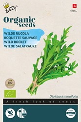 Ökologische Samen Salatrauke - Selvatica Diplotaxis Erucoides