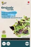 Bio Französische Salatmischung