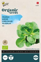 Bio Feldsalat Holländischer Breitblättriger - Valerianella locusta