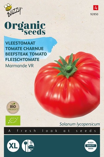 Bio Fleischtomate Marmande - Solanum lycopersicum