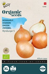 Zwiebel Rijnsburger 5 – Buzzy Organic Seeds