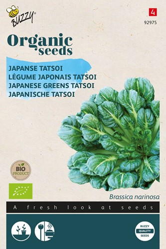 Bio Japanischer Tatsoi - Brassica Narinosa