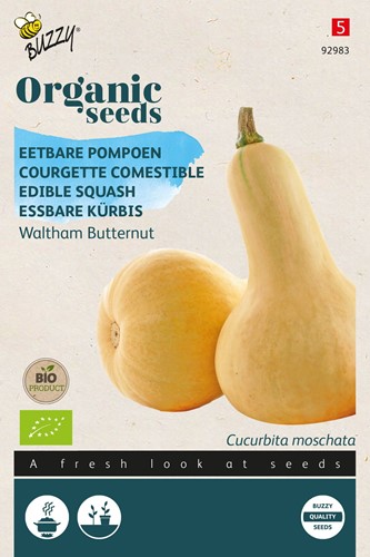 Essbare Kürbis Waltham Butternut – Buzzy Organic Seeds