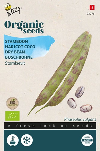 Buschbohne Kievit low, Borlotto rosso BIO - Phaseolus vulgaris