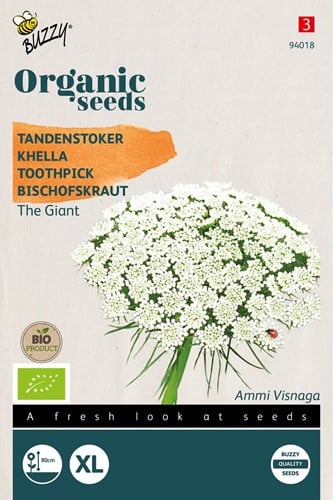 Bio Bischofskraut The Giant - Ammi Visnaga