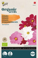 Bio Schmuckkörbchen Sensation Mix - Cosmos