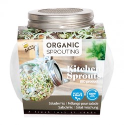Salatmischung - Organic Keimsprossen Keimglas