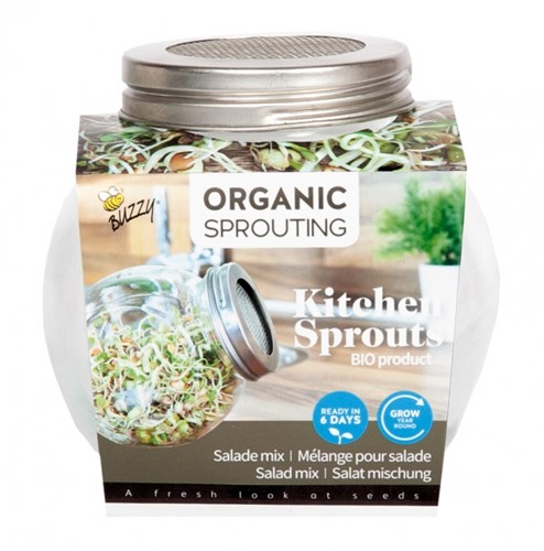 Salatmischung - Organic Keimsprossen Keimglas