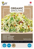 Organic Sprouting Daikonkers - Raphanus sativus
