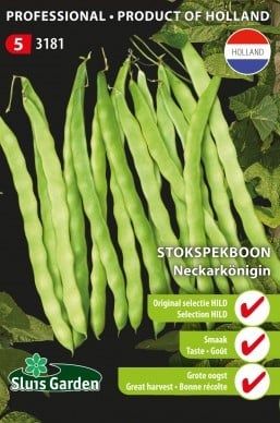 Stockspeckbohne Neckarkönigin - Ursprüngliche Selektion