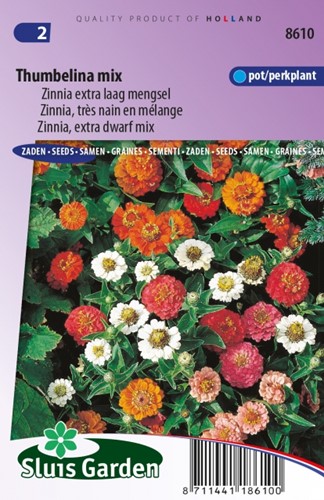 Zinnie Thumbelina mix Zinnia Elegans