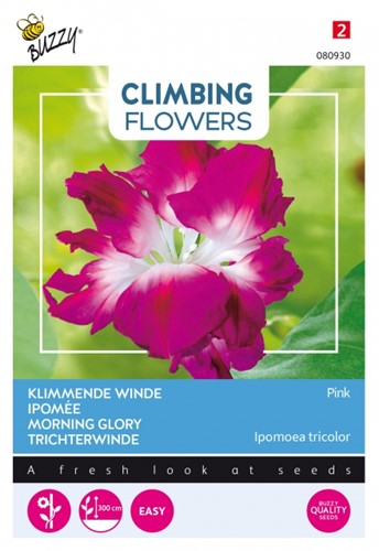 Trichterwinde Pink - Climbing Flowers